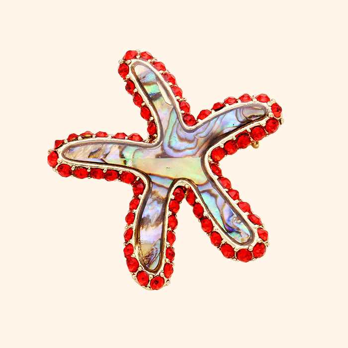 Stone Trim Abalone Starfish Pin Brooch — actual supplier photograph on warm ivory